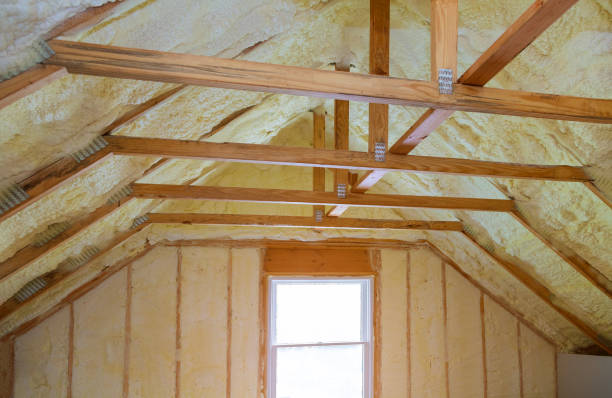Insulation Inspection Services in Friend, NE