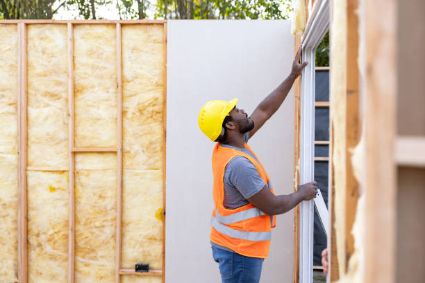 Best Insulation Inspection Services  in Friend, NE