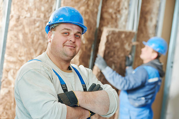 Best Best Insulation Companies  in Friend, NE