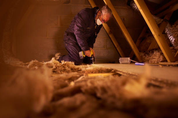 Best Local Insulation Services  in Friend, NE