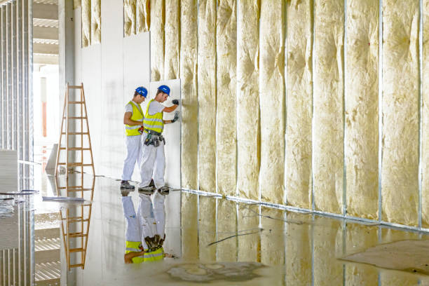 Best Energy-efficient Insulation  in Friend, NE